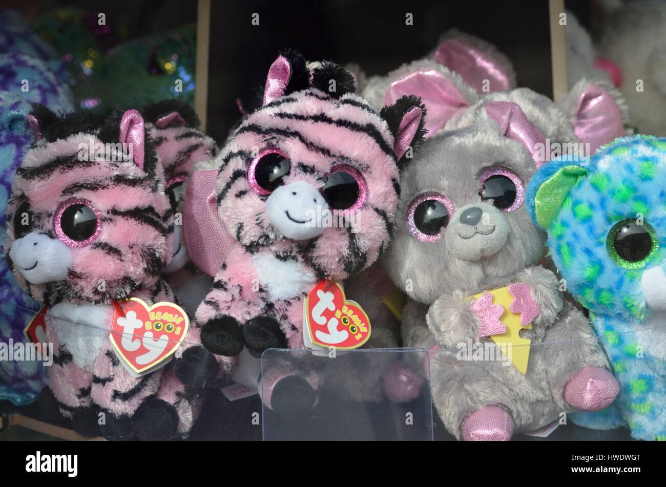 Cuddly toys in a shop window display. Stock Photo