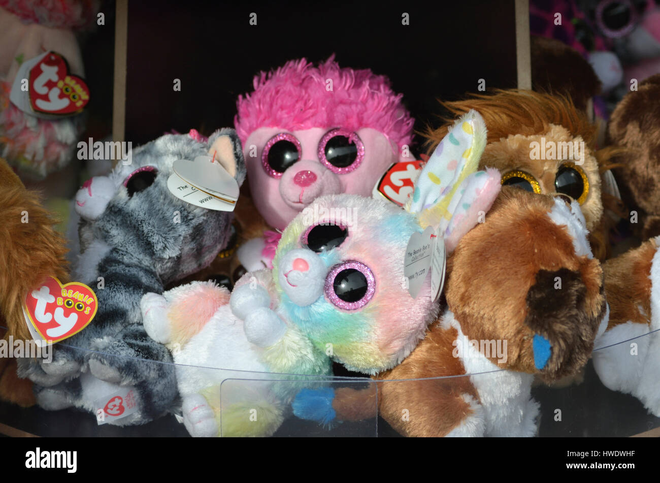Cuddly toys in a shop window display. Stock Photo