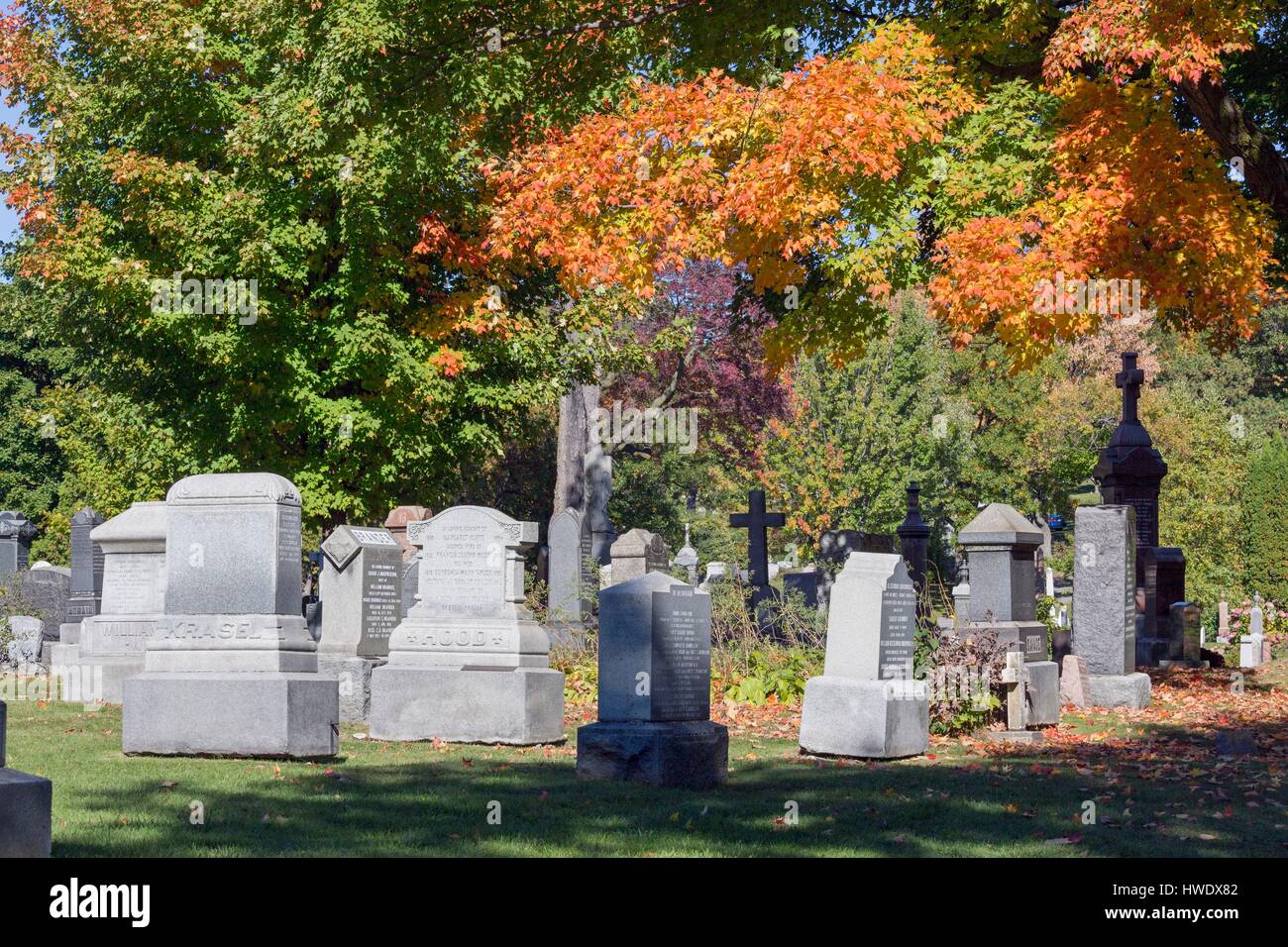 Canada, Quebec province, Montreal, Mount Royal Cemetery in Autumn Stock Photo