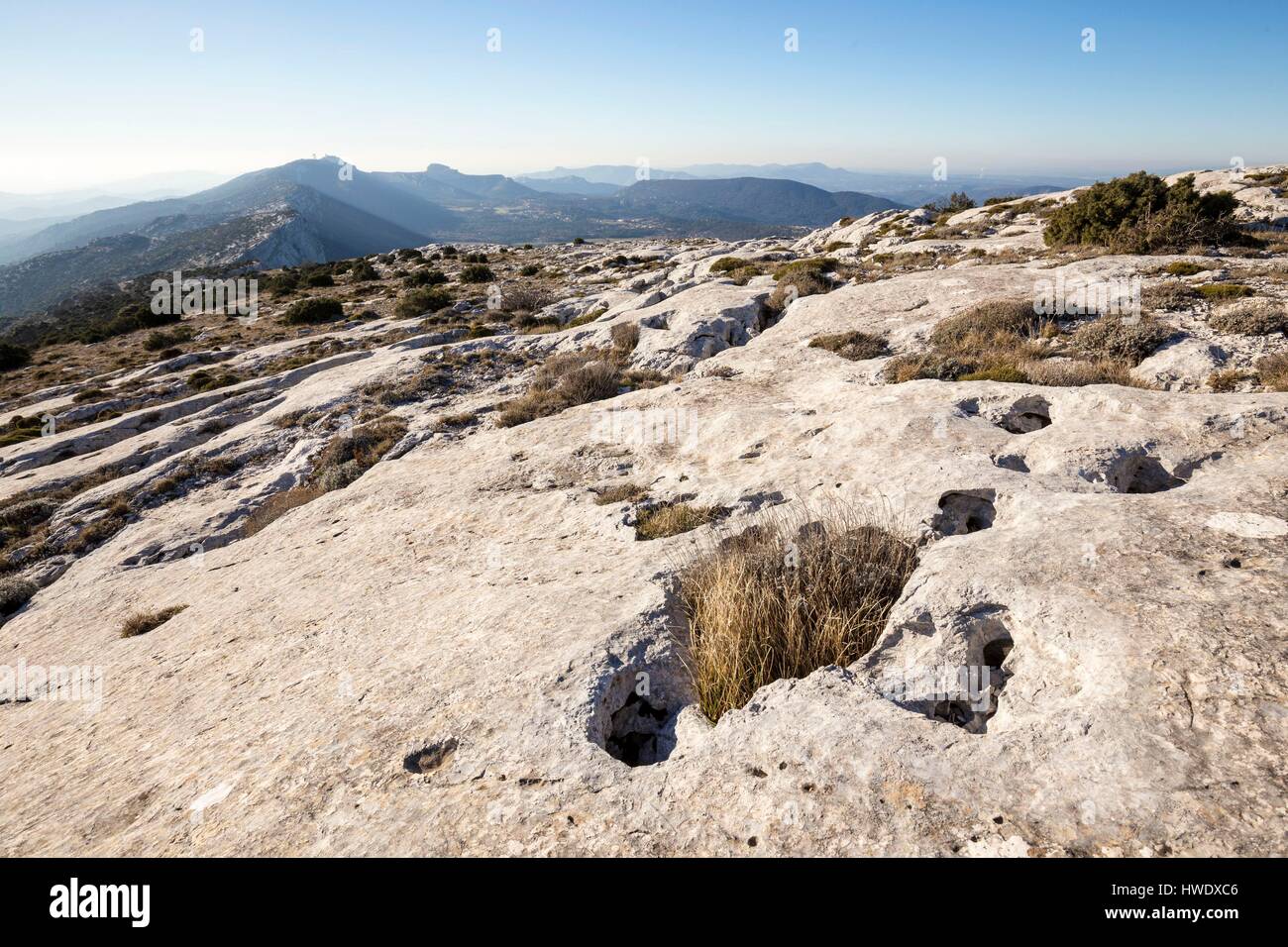 France, Var, Regional Natural Reserve of Sainte Baume, chain of Sainte