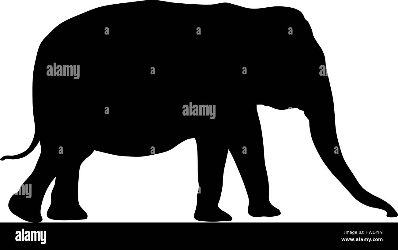 Vector illustration of elephant silhouette Stock Vector Image & Art - Alamy