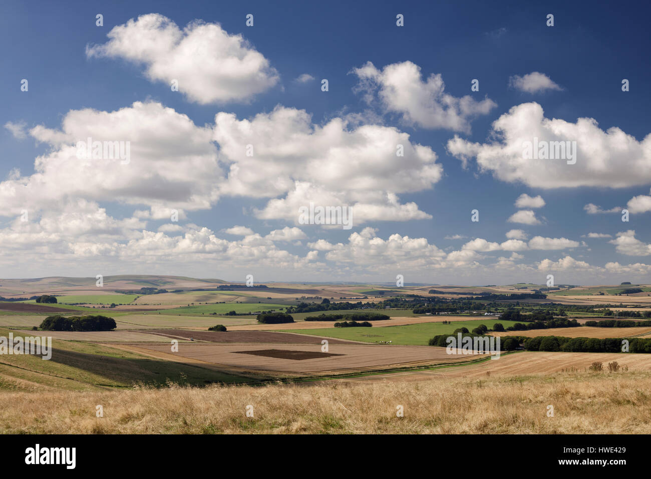 Wide view of fields and farmland surrounding the Ridgeway National Trail in Wiltshire Stock Photo
