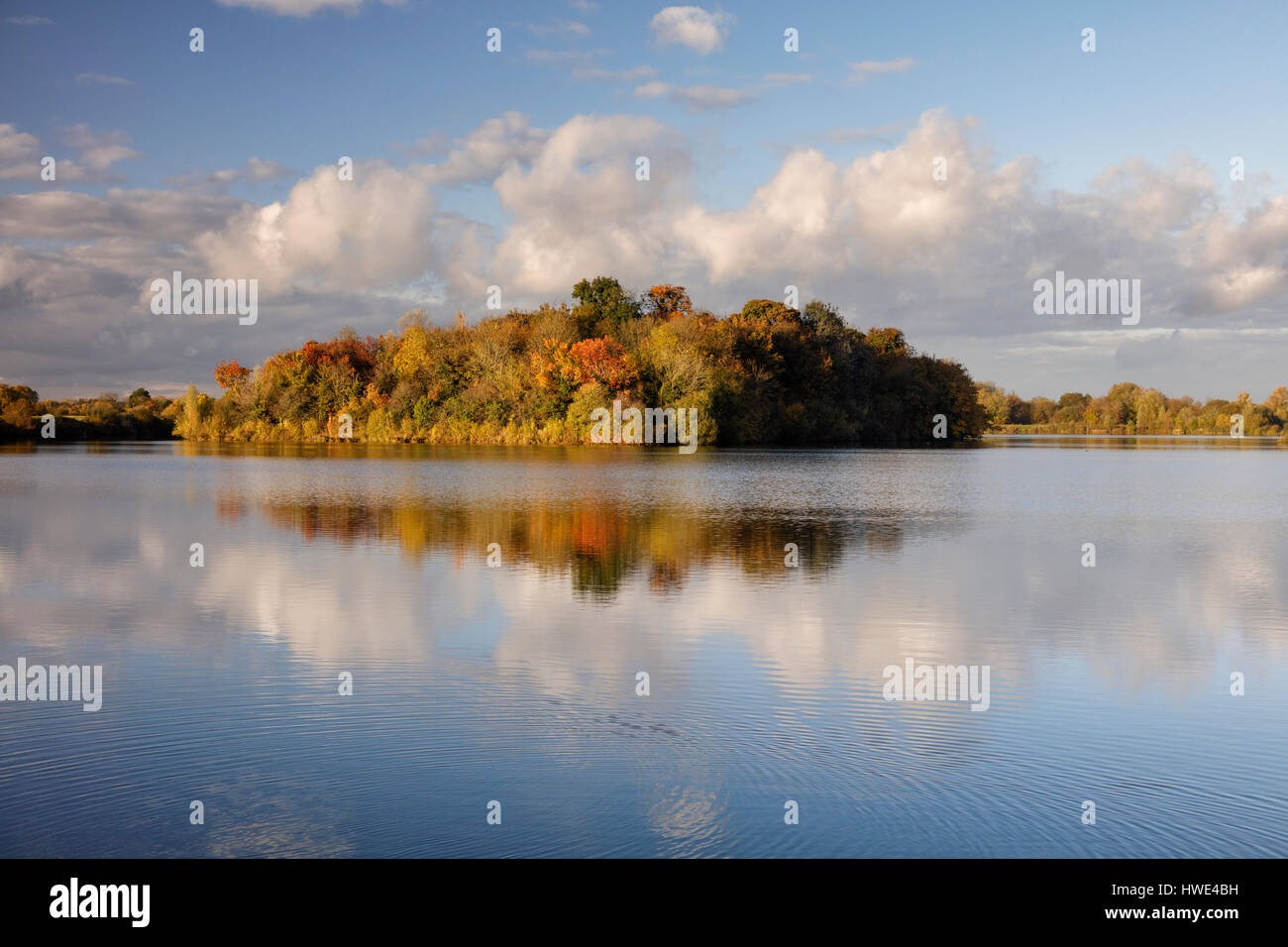 Island covered in autumnal foliage and colour in the centre of Lake 21 near Ashton Keynes in the Cotswold Water Park. Stock Photo