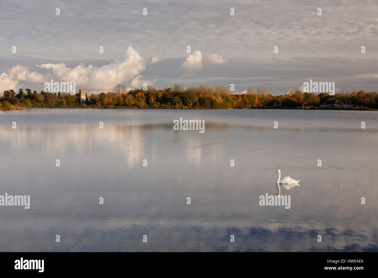 View across a still lake towards Holy Cross church tower in Ashton Keynes on a crisp autumnal afternoon Stock Photo