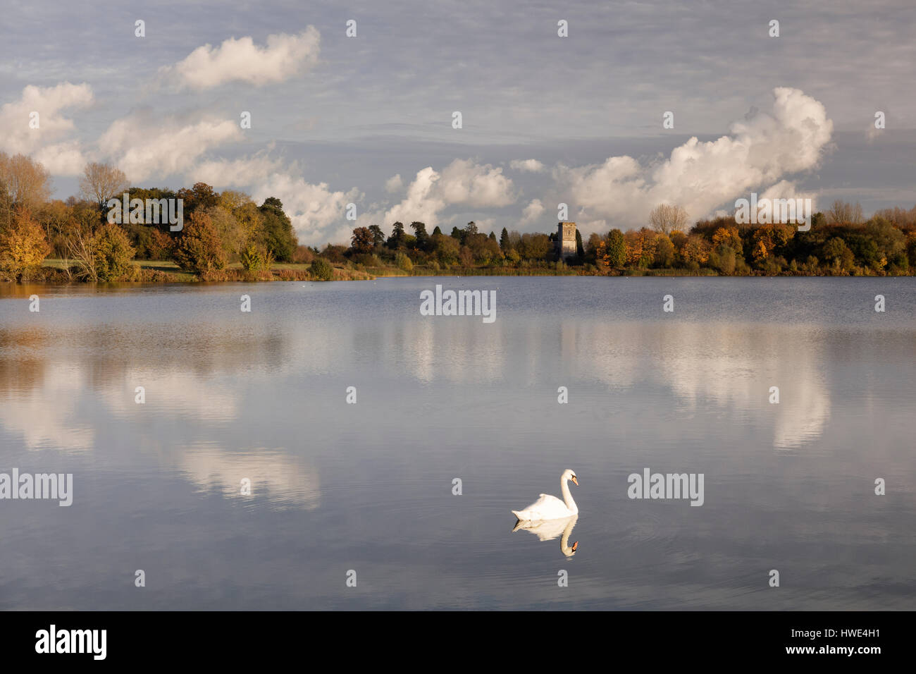 View across a still lake towards Holy Cross church tower in Ashton Keynes on a crisp autumnal afternoon Stock Photo