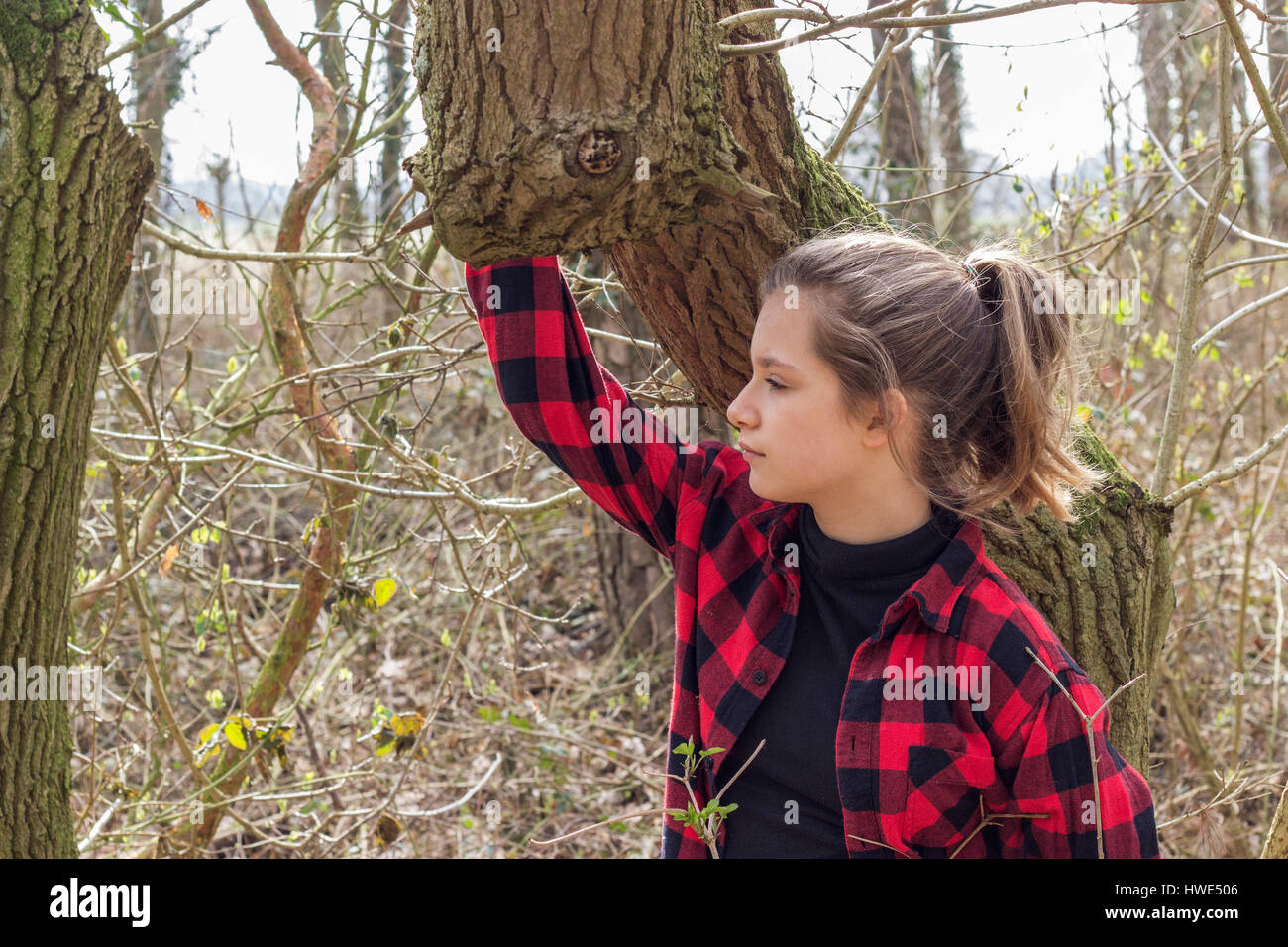 A pretty girl with checkered shirt in forest Stock Photo