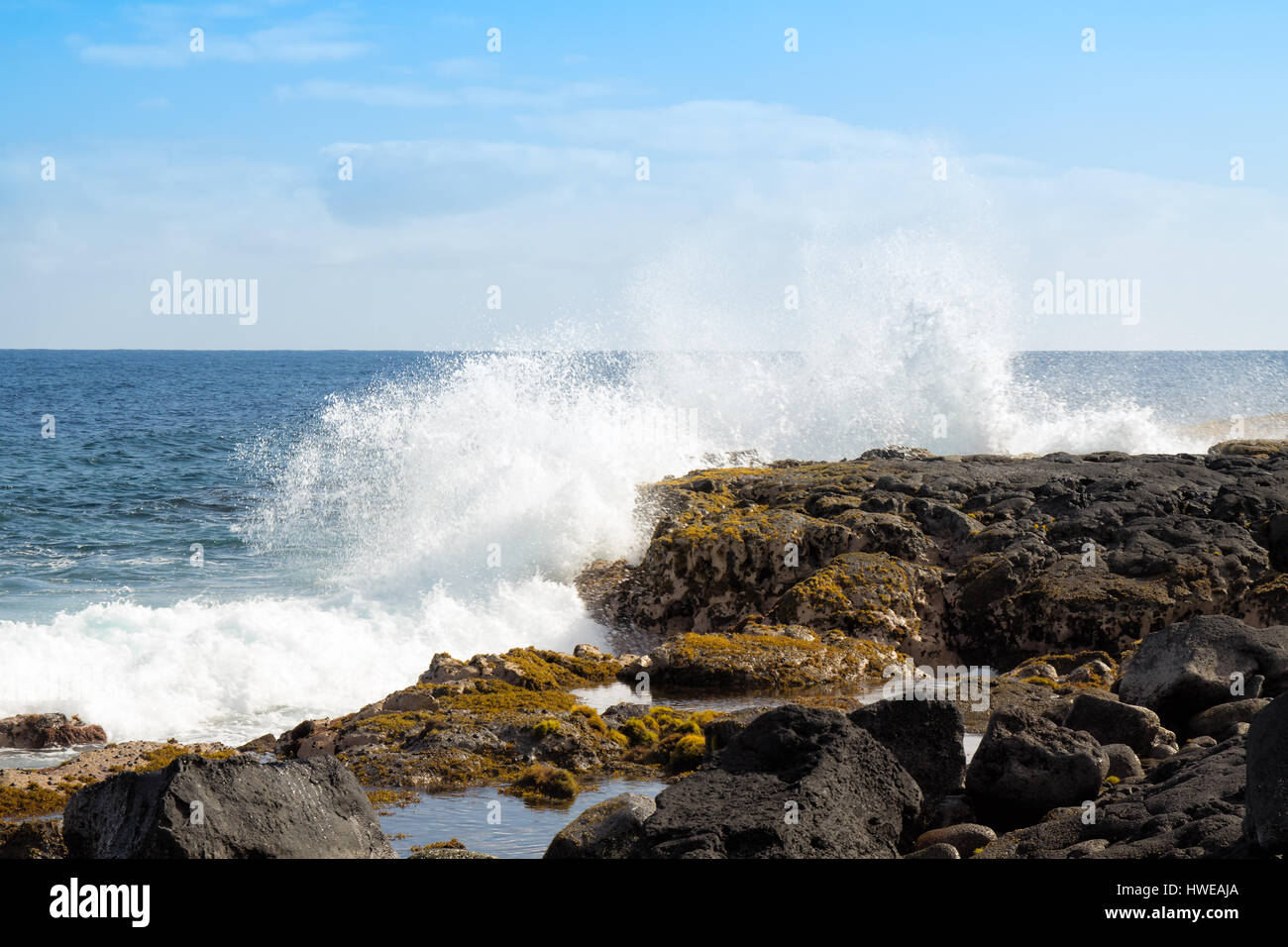 Rhodophyta asnd Phaeophyta seaweed grows on the basalt rock coastal  tidal pools, kept full by waves crashing on the  cliffs on the Big Island of Hawa Stock Photo