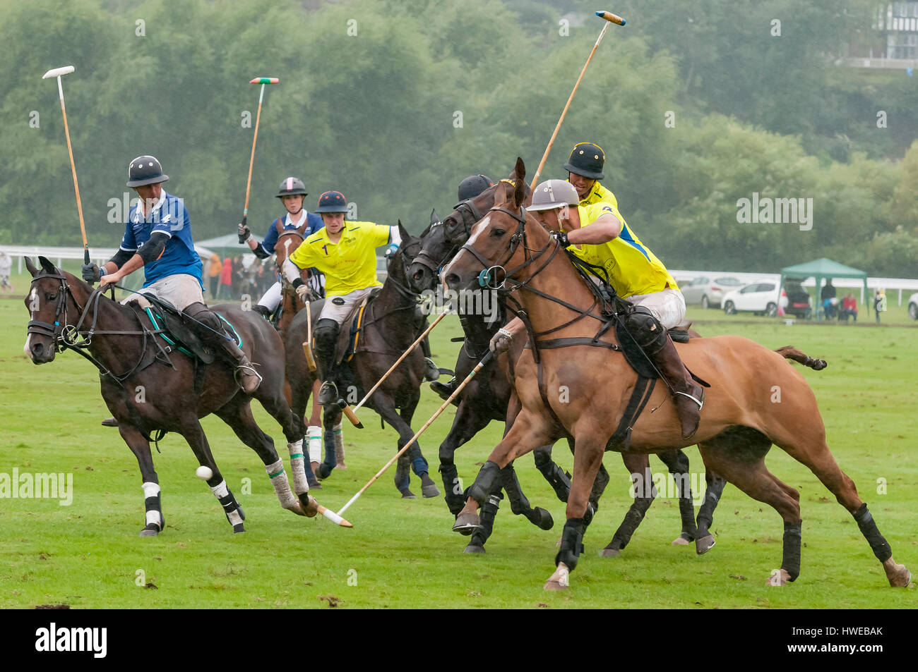 MBNA Roodee Polo Final Chester Racecourse. Sept 3rd 2016. Winners