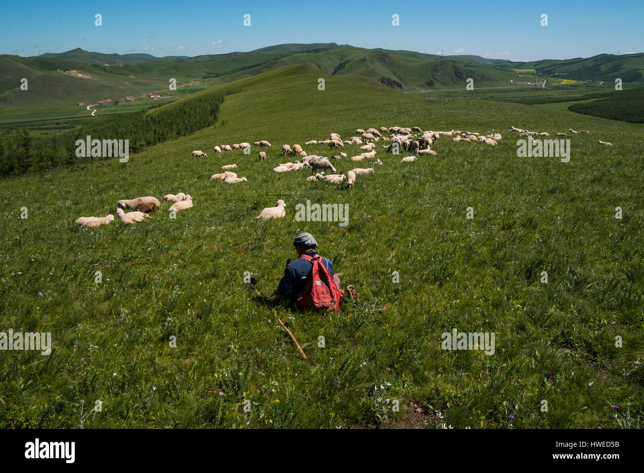 The shepherd of the grasslands bashang hebei china Stock Photo