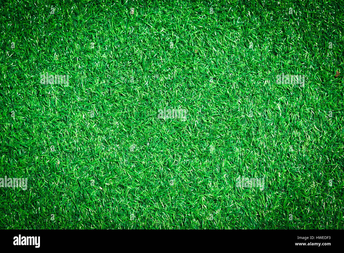Green artificial grass soccer field Stock Photo