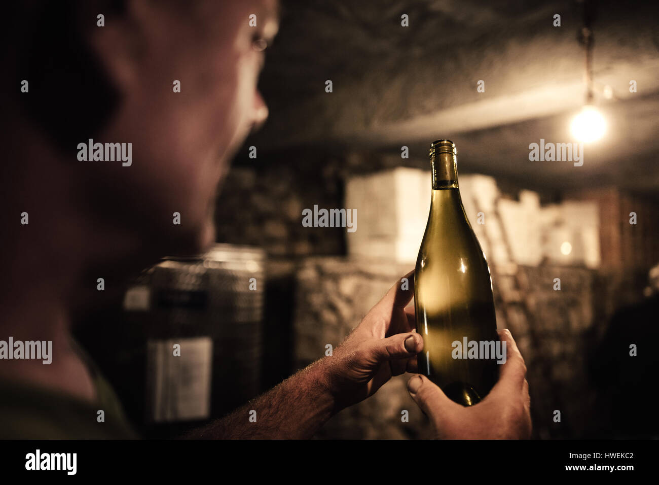 Winemaker gazing at wine bottle in cellar Stock Photo