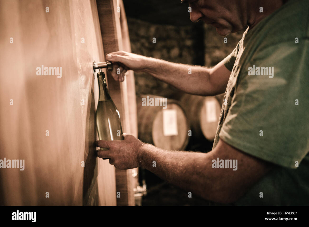 Winemaker filling wine bottle from cellar barrel Stock Photo