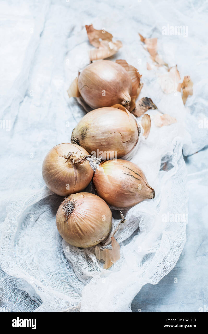 Studio shot, overhead view of onions on muslin Stock Photo