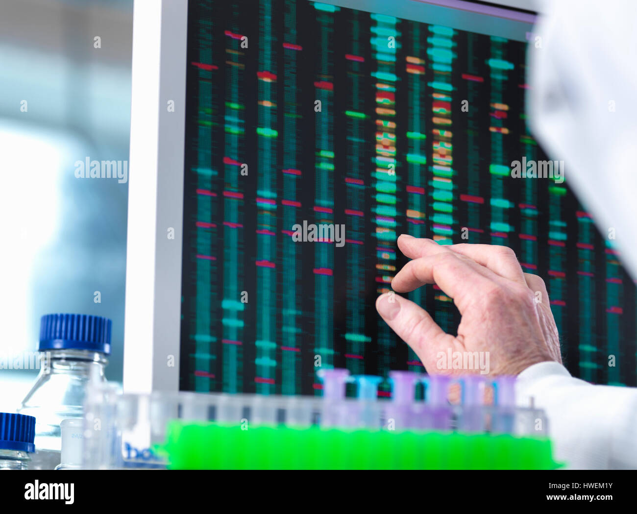DNA Research, Scientist viewing DNA test results on a computer screen