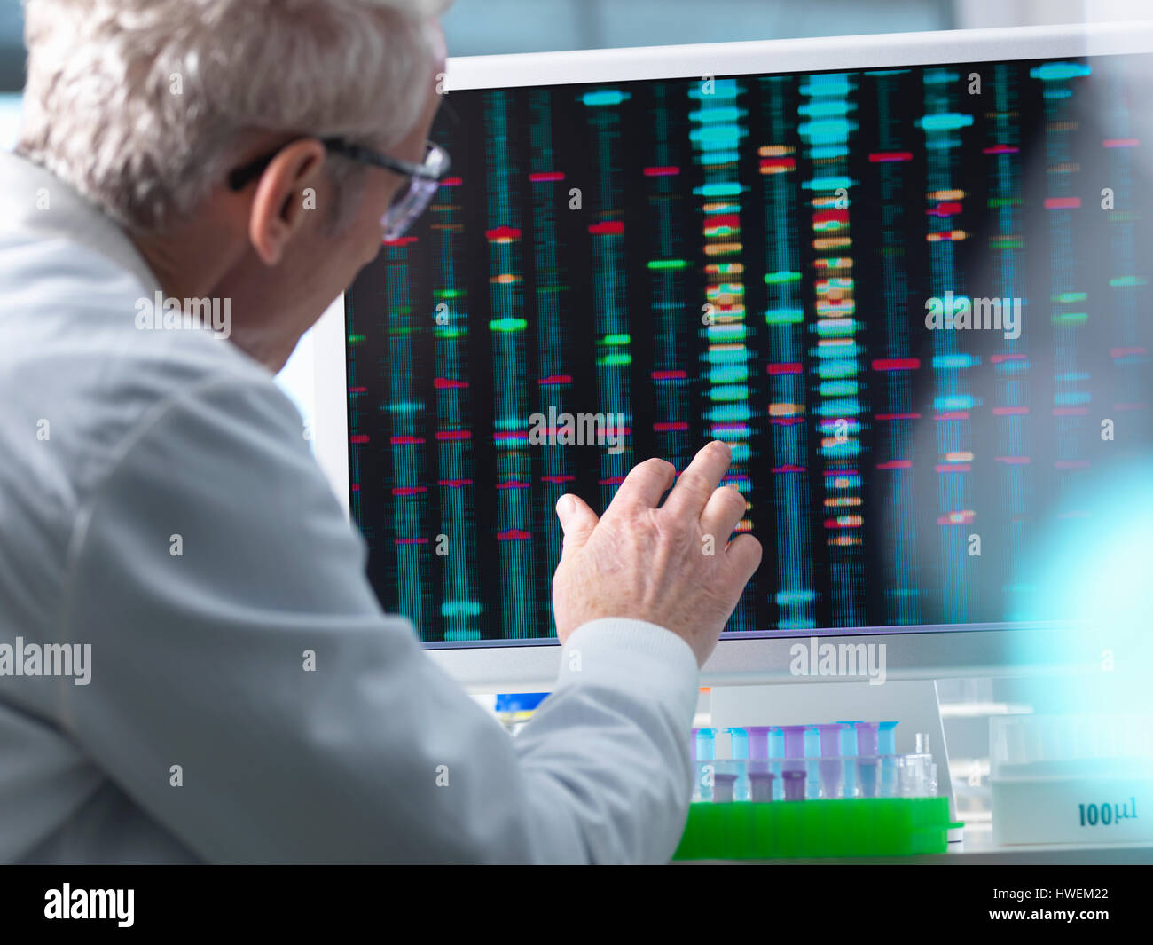 DNA Research, Scientist comparing DNA results on a computer screen in the laboratory Stock Photo
