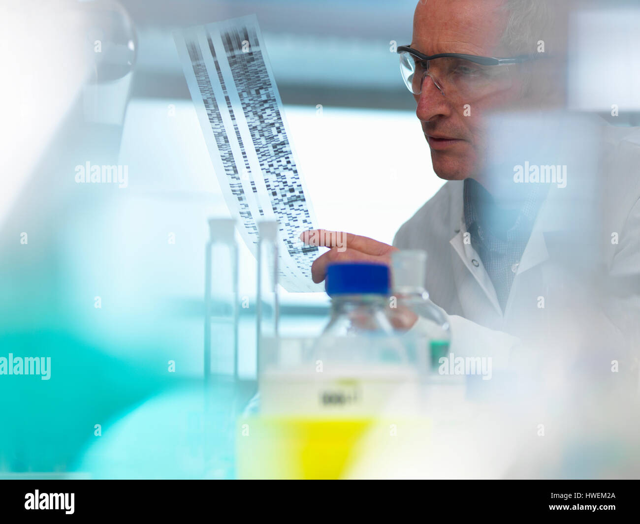 Researcher holding a DNA (deoxyribonucleic acid) gel during a genetic experiment in a laboratory Stock Photo