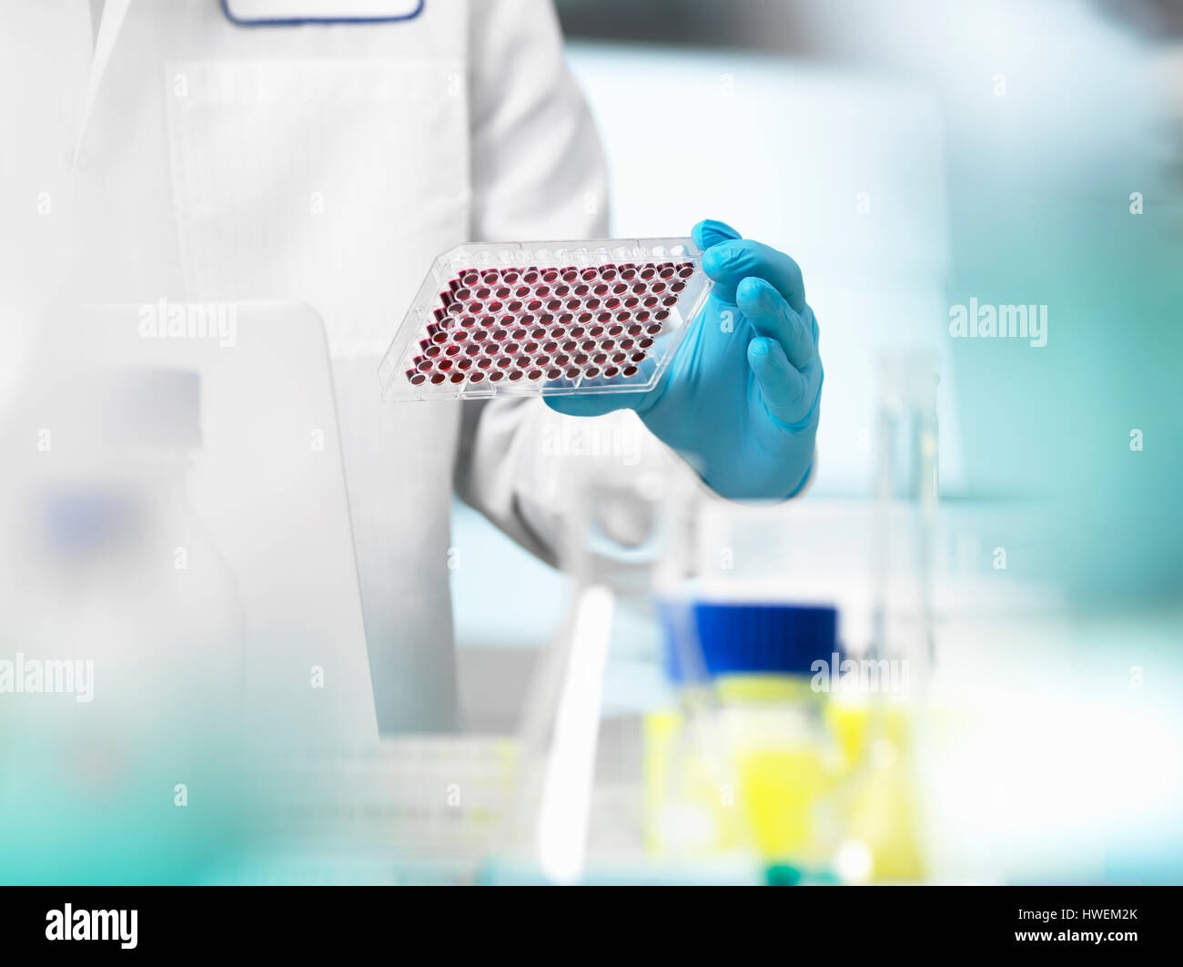 Scientist preparing blood samples in a multi well plate for clinical testing in a laboratory Stock Photo