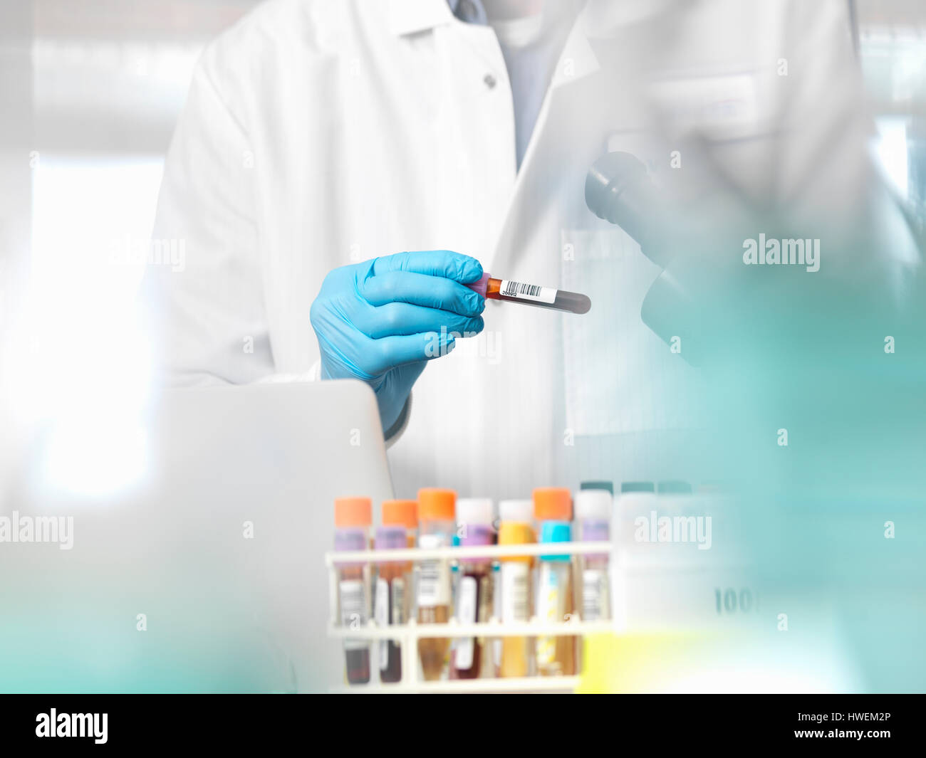 Scientist checking blood sample information ready for clinical testing in a laboratory Stock Photo