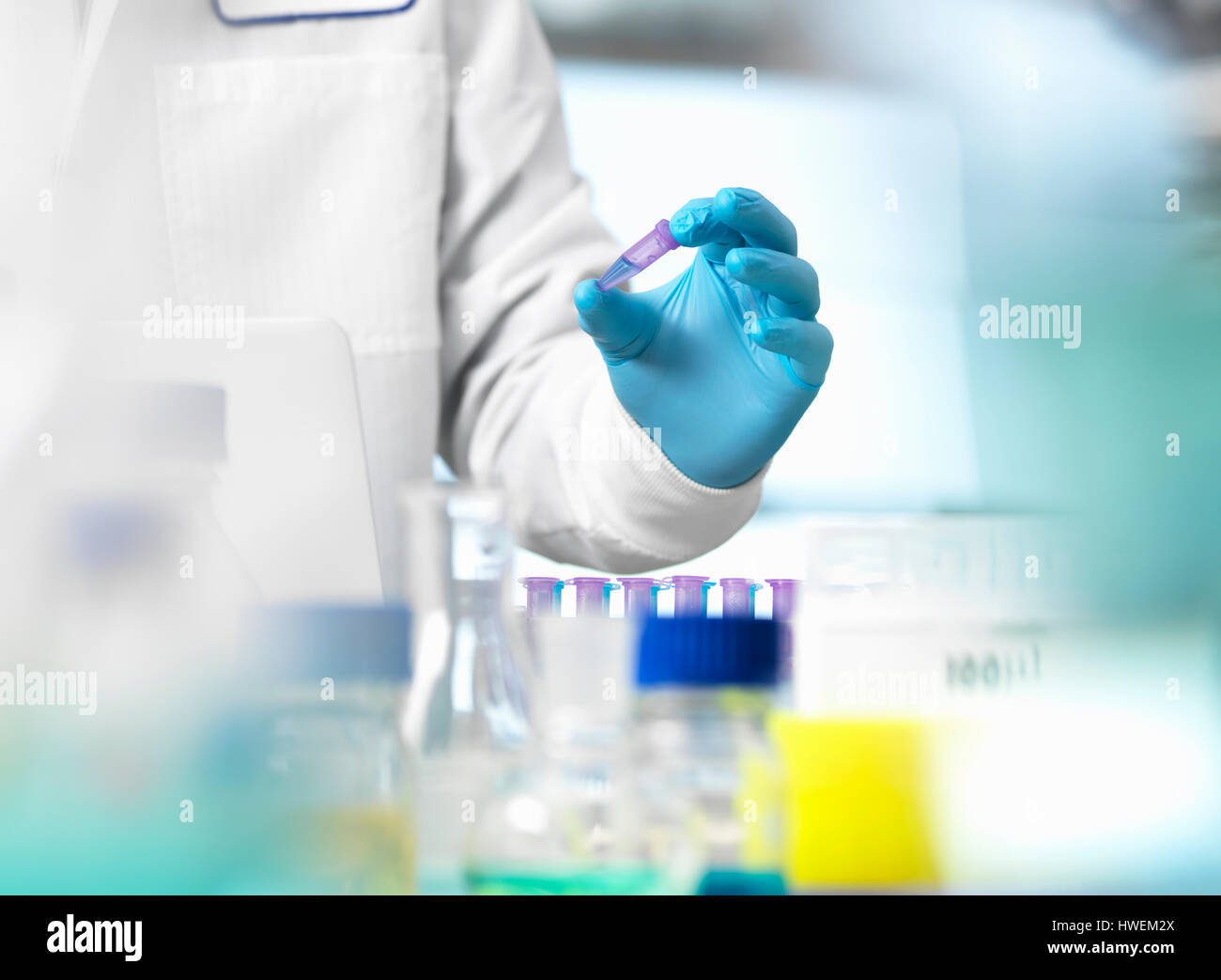 Life Science, scientist holding a sample in a eppendorf vial during an experiment in the laboratory Stock Photo