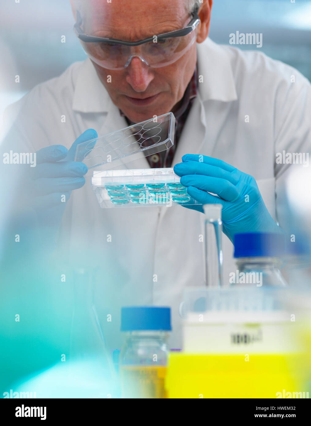 Biotechnology Research, scientist viewing samples in a multi well plate during an experiment in the laboratory Stock Photo