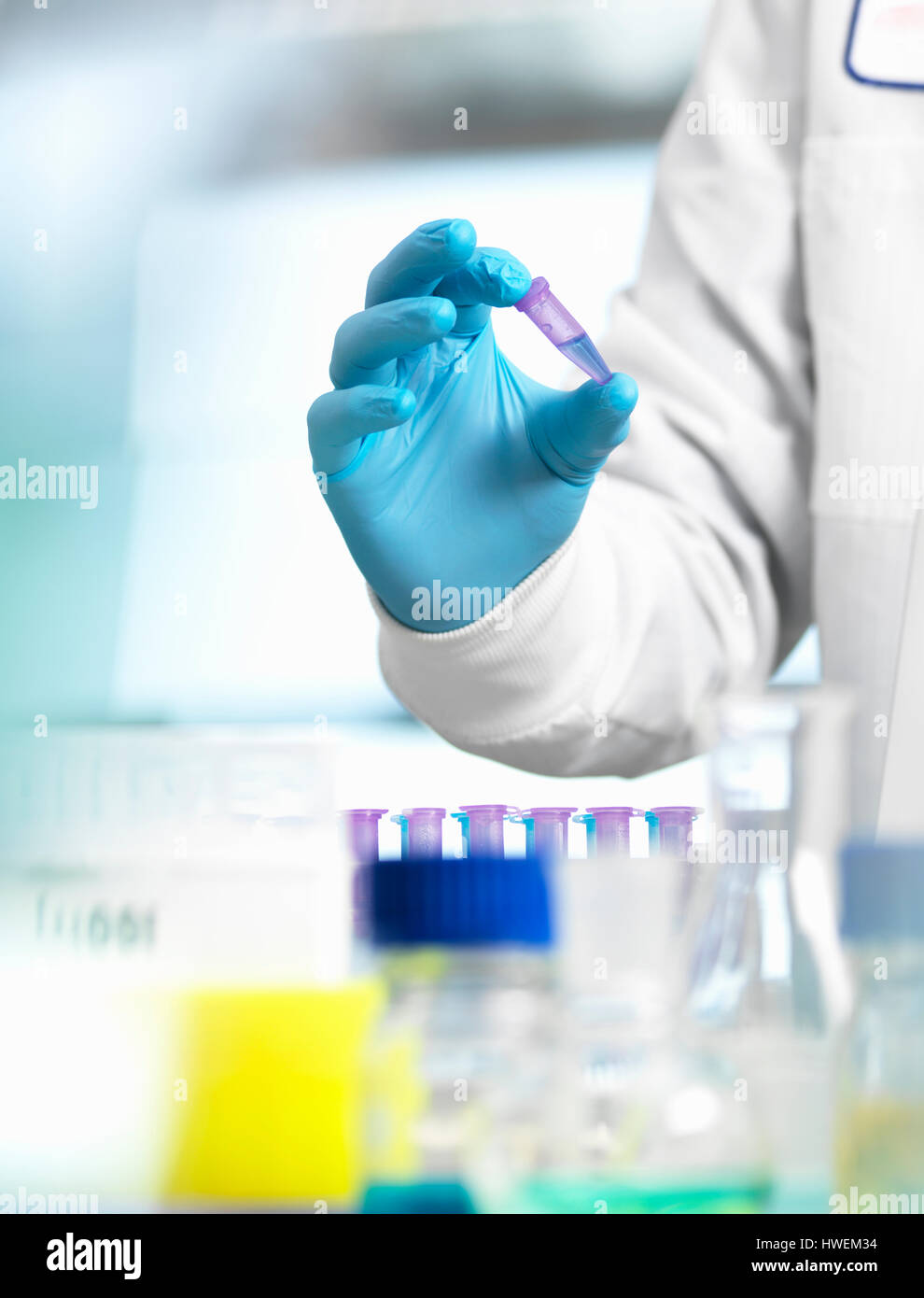 Life Science, scientist holding a sample in a eppendorf vial during an experiment in the laboratory Stock Photo
