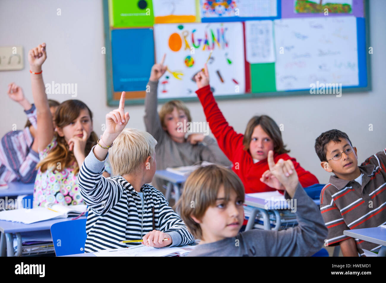 Students in classroom, sitting at desks, with arms raised Stock Photo