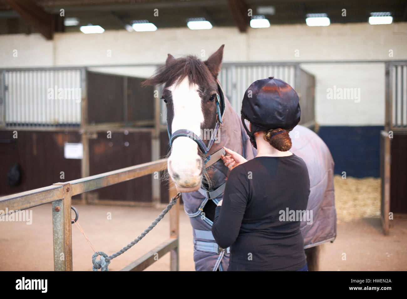 Young woman putting blanket on horse Stock Photo Alamy