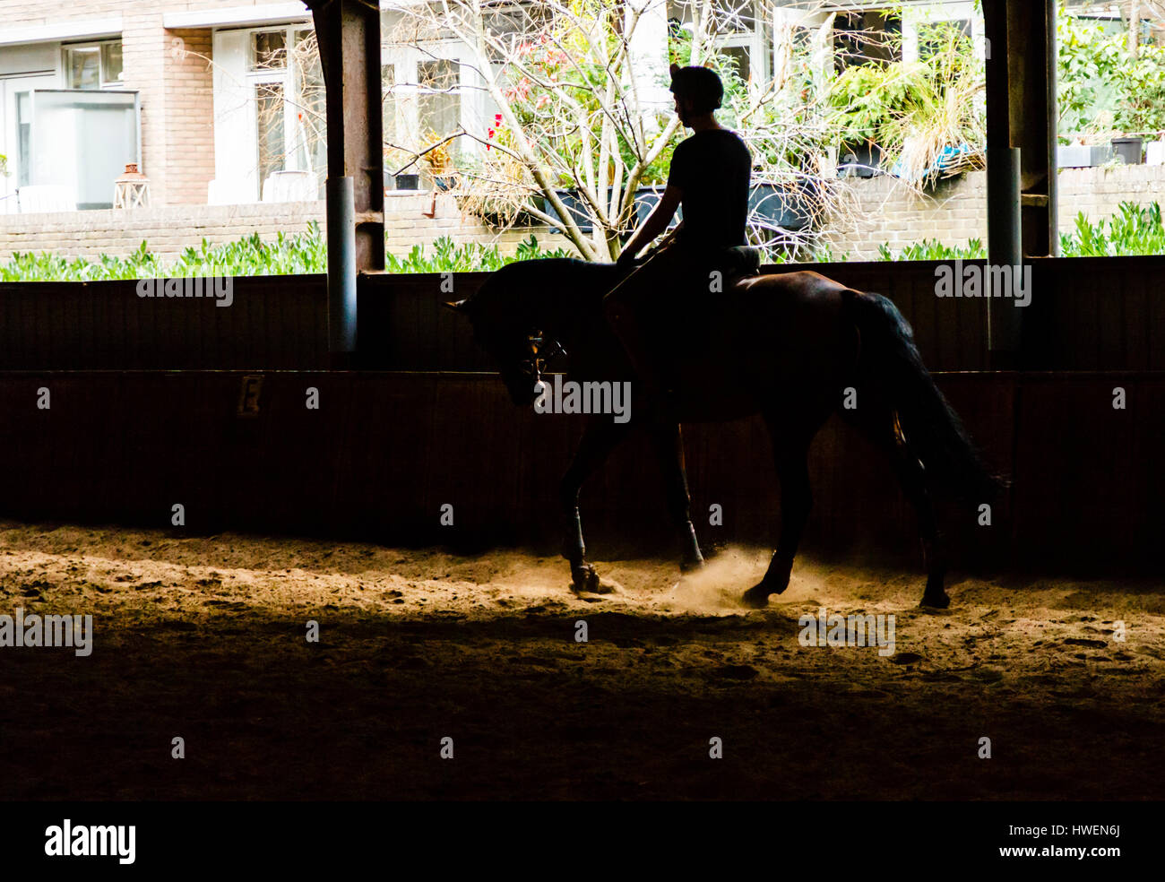 A horse rider puts their horse through its paces at the historic Dutch