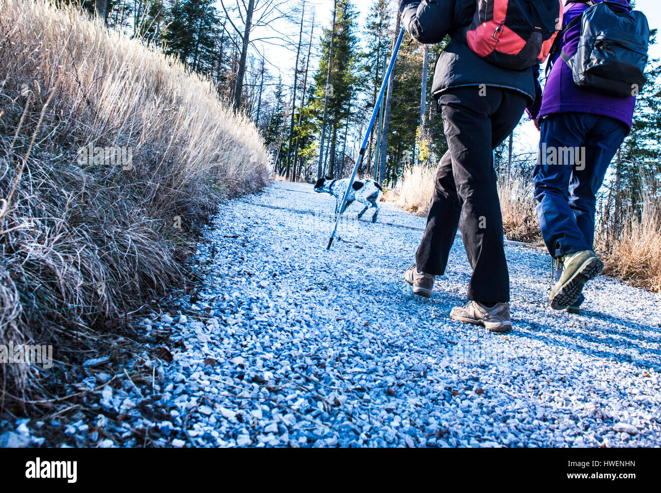Hikers way down path hi-res stock photography and images - Alamy