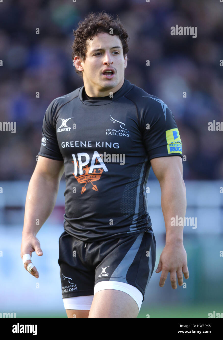 Juan Pablo Socino Newcastle Falcons Stock Photo Alamy