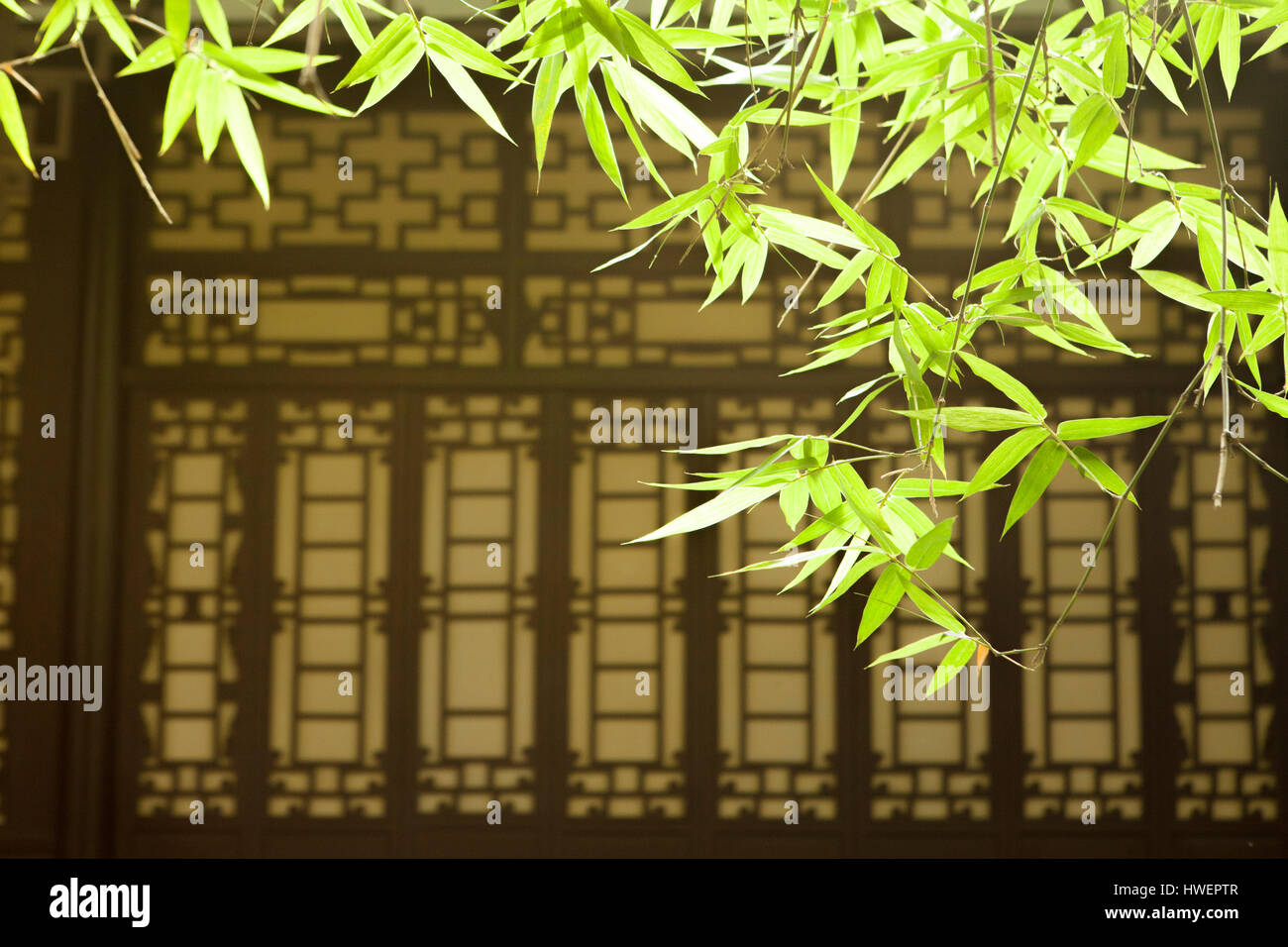 Bamboo leaves and asian style window, Wang jiang lou park, Chengdu, Sichuan, China Stock Photo