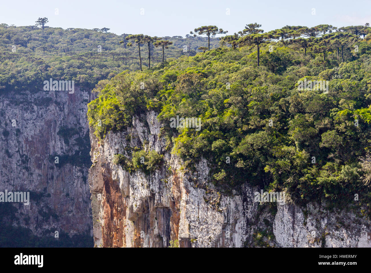 Itaimbezinho Canyon, Cambara do Sul, Rio Grande do Sul, Brazil Stock Photo