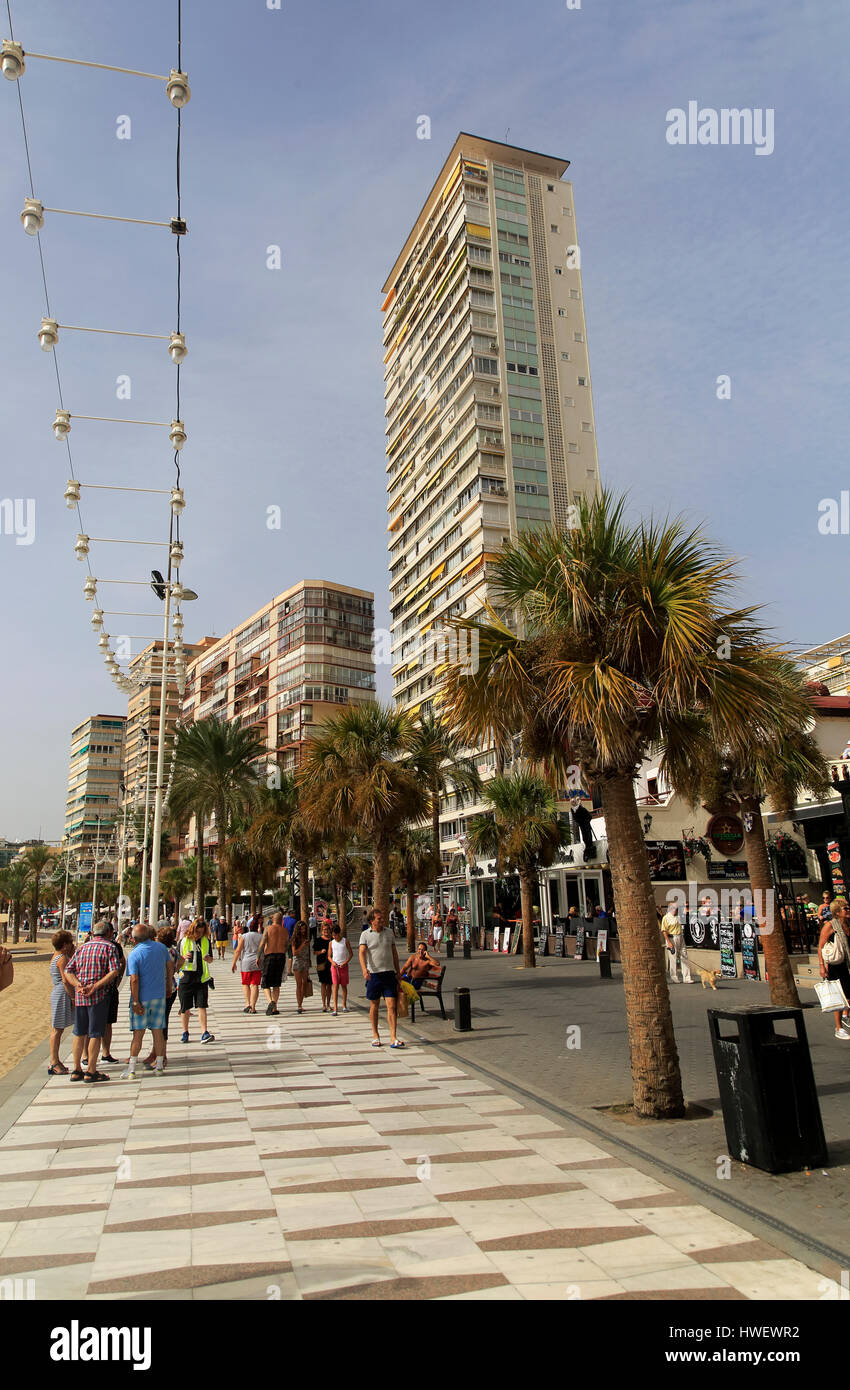 High rise apartment buildings, Benidorm, Alicante province, Spain Stock