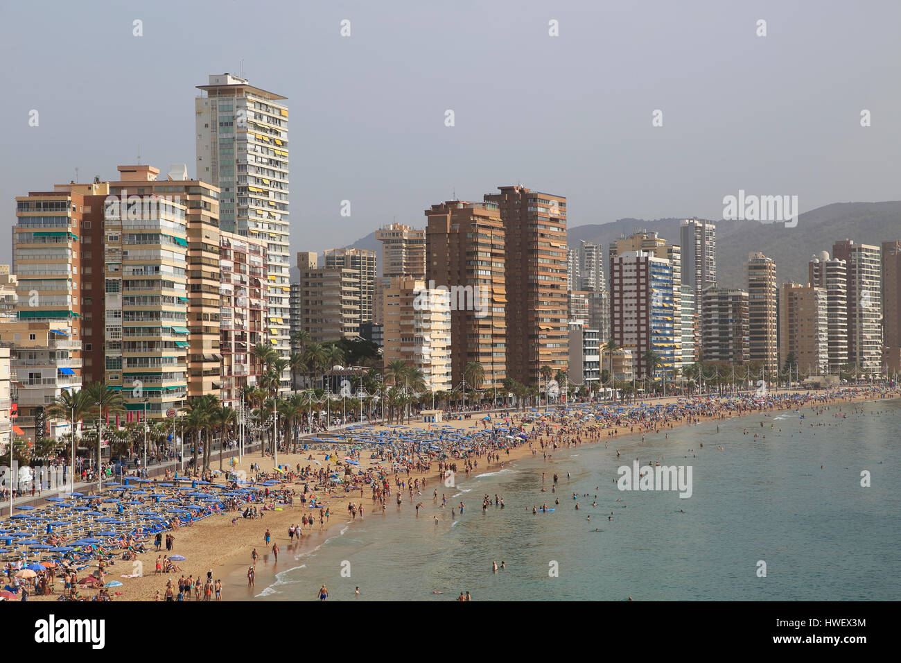 High Rise Apartment Buildings And Hotels Seafront Playa Levante