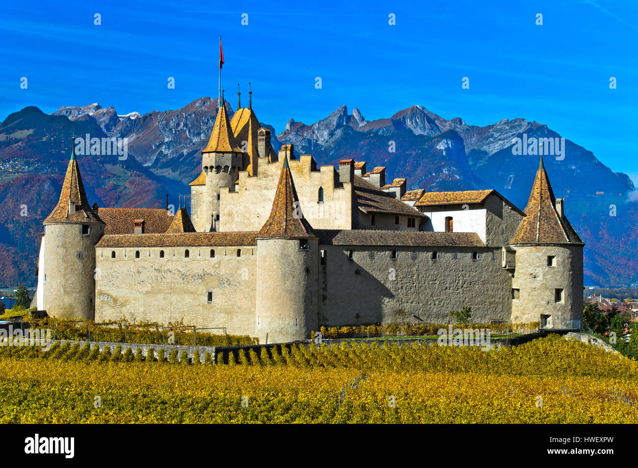 uendelig Savant Postnummer Vine and wine museum Aigle Castle, Chateau d'Aigle, Aigle, Vaud,  Switzerland Stock Photo - Alamy