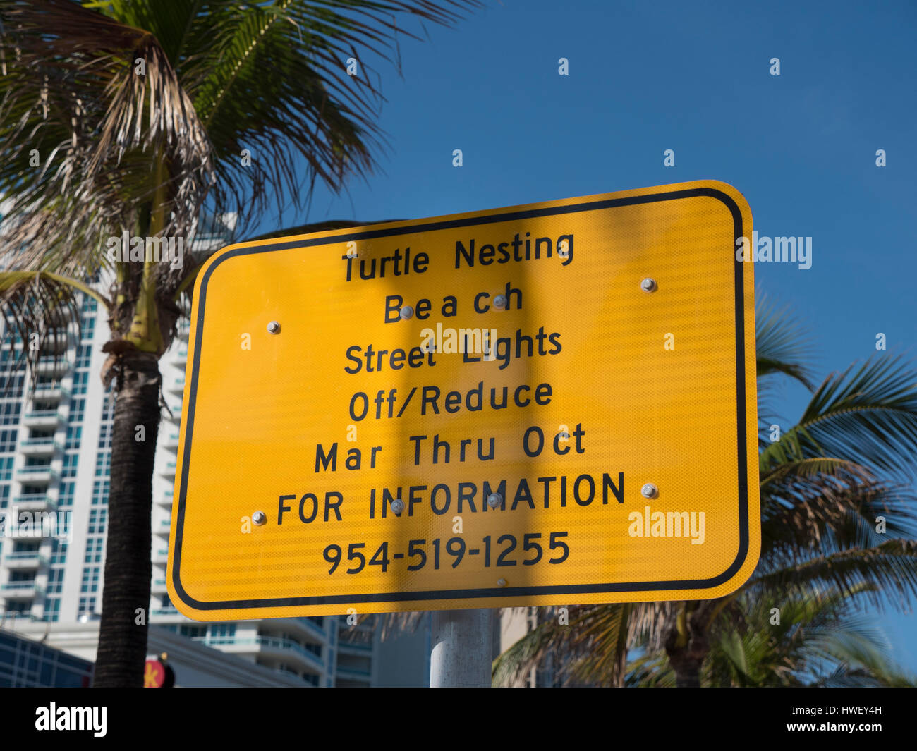 Street Sign At Fort Lauderdale Beach Near Las Olas, Warning Of Turtle Nesting On The Beach And Annual Light Restrictions March Through October Stock Photo