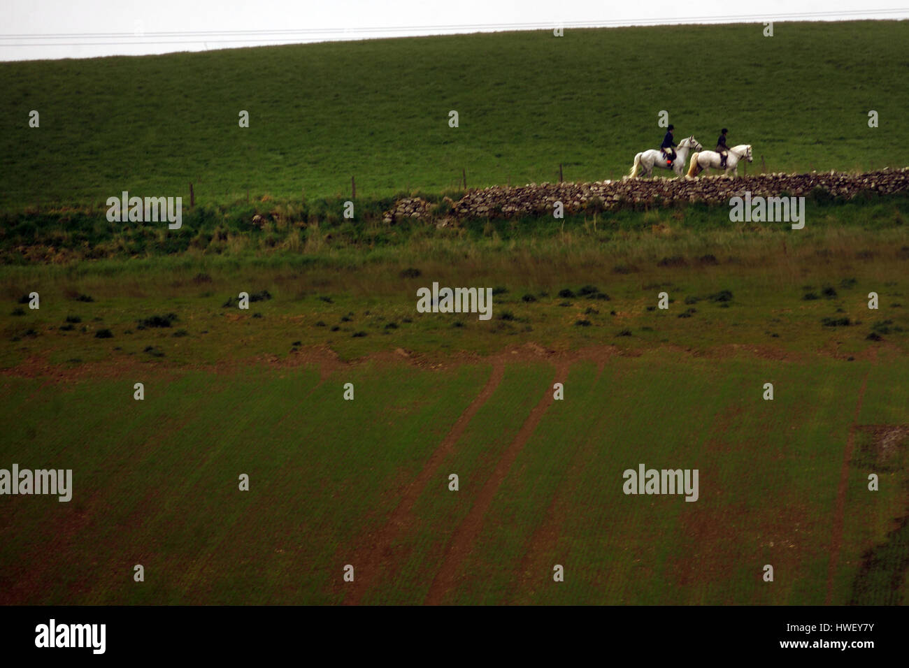Riding the bounds, BerwickuponTweed Stock Photo Alamy