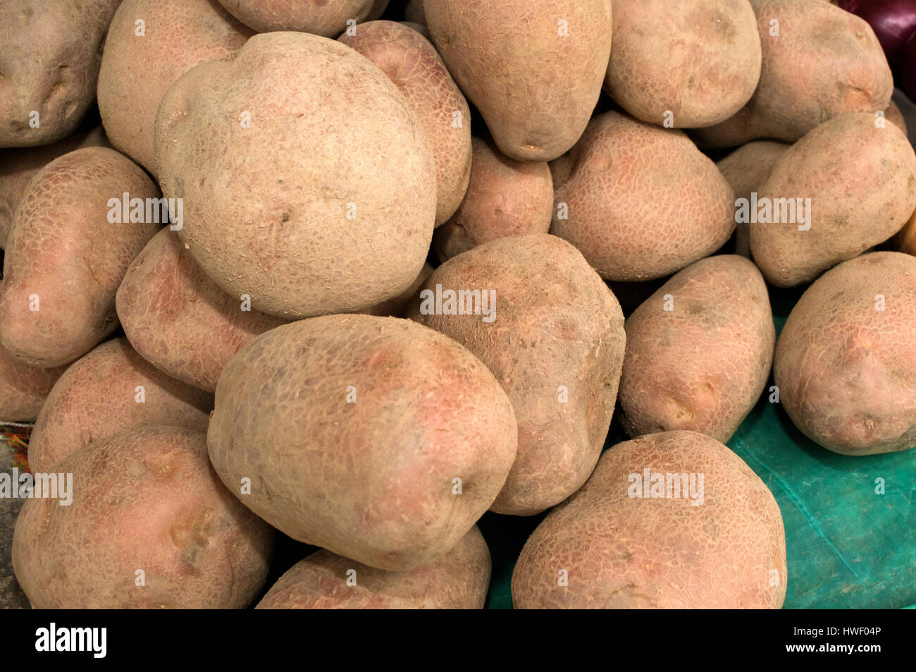 https://c8.alamy.com/comp/HWF04P/a-bunch-of-brown-potatoes-on-the-market-novi-sad-serbia-HWF04P.jpg