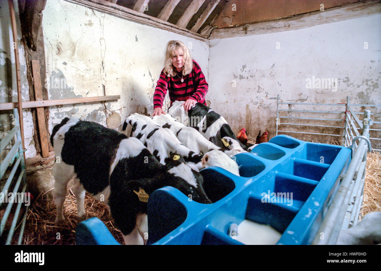 carla lane cat sanctuary