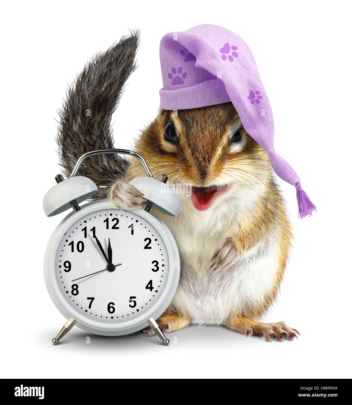 bedtime concept, Funny animal chipmunk with clock and sleeping cap Stock Photo