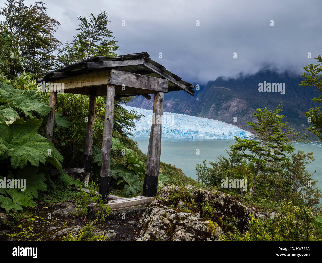 Viewpoint near San Rafael glacier snout, rain forest, San Rafael lagoon, national park, Aysen region,  Patagonia, Chile Stock Photo