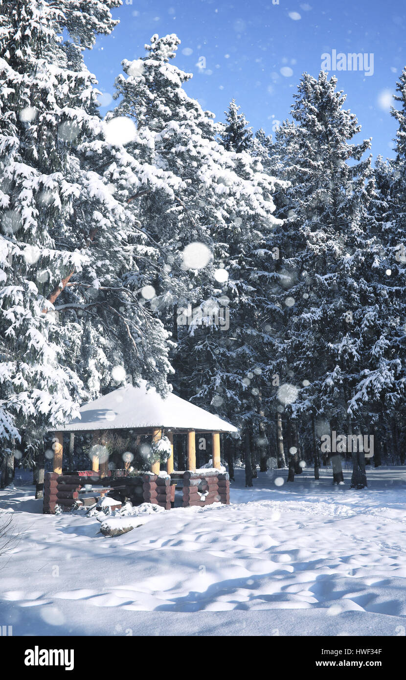 wooden gazebo in forest in the winter snow blizzard Stock Photo - Alamy