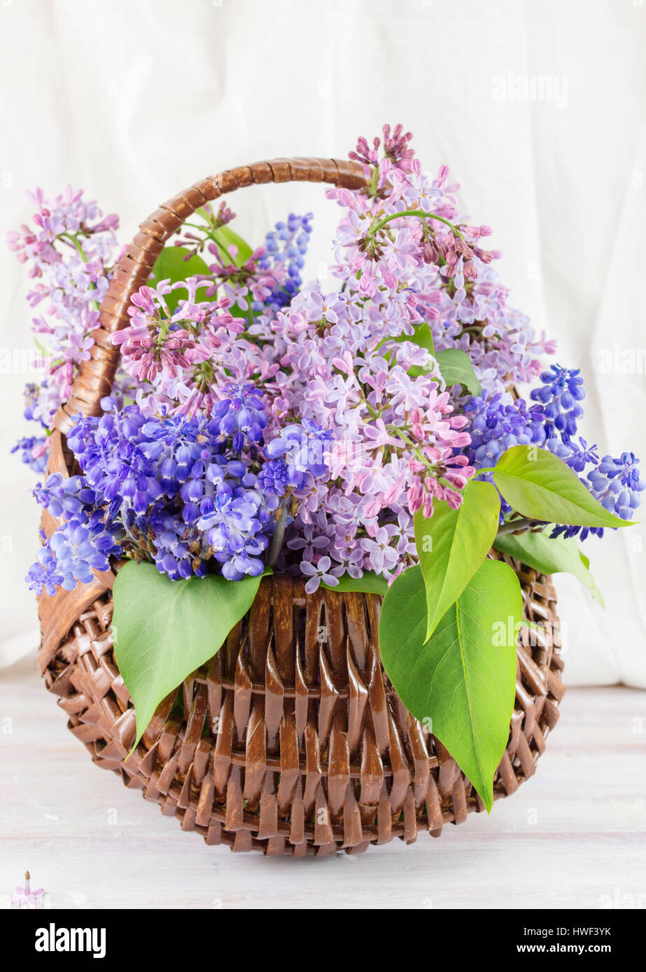 Lilac flowers in a wicker basket. Spring time Stock Photo
