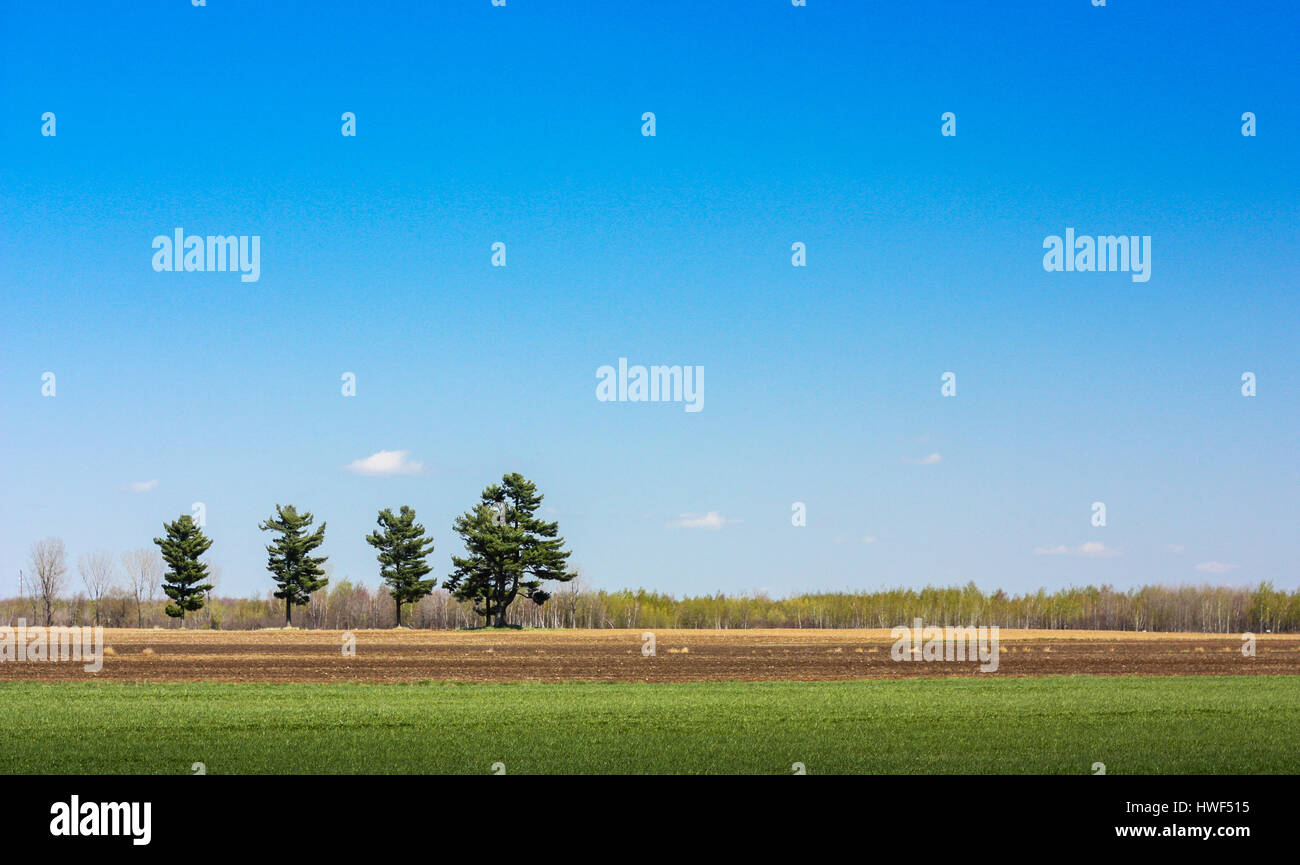 Four season trees hi-res stock photography and images - Alamy