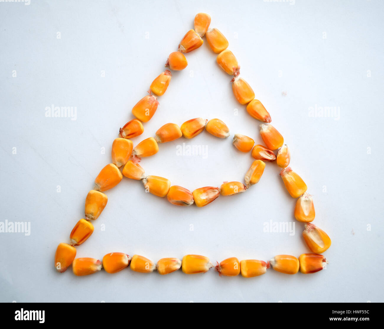 Triangular Corn Healthy ecological corn in the form of a triangle with an eye on a ...