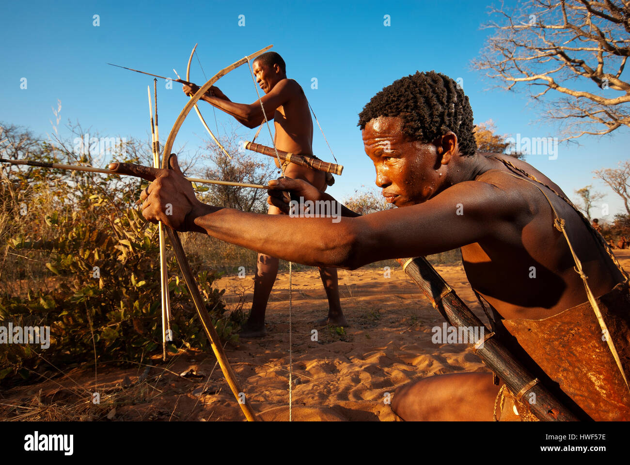 Ju/'Hoansi or San bushmen hunter simulates a hunt with bow and arrow at