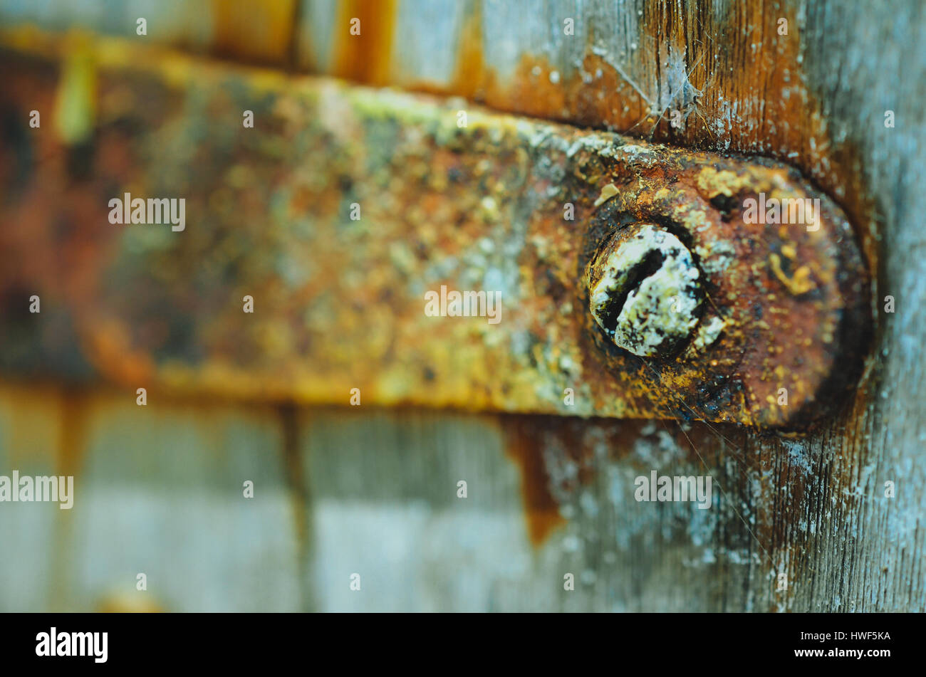 Green Rusted Screw A green rusty screw against a wooden door. The hinge appears to be a ...