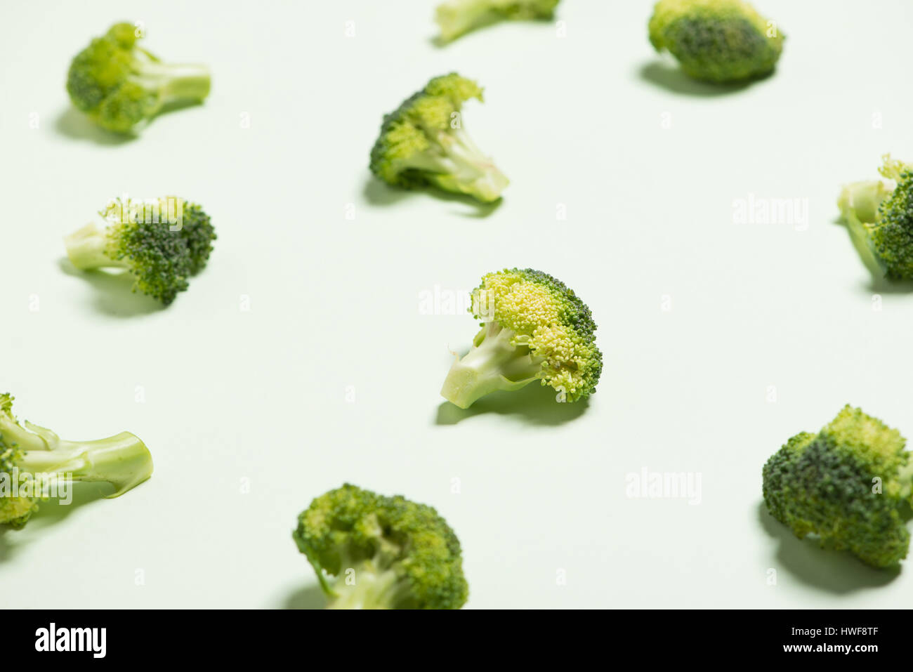 Modern style of the Broccoli isolated on green background. Stock Photo