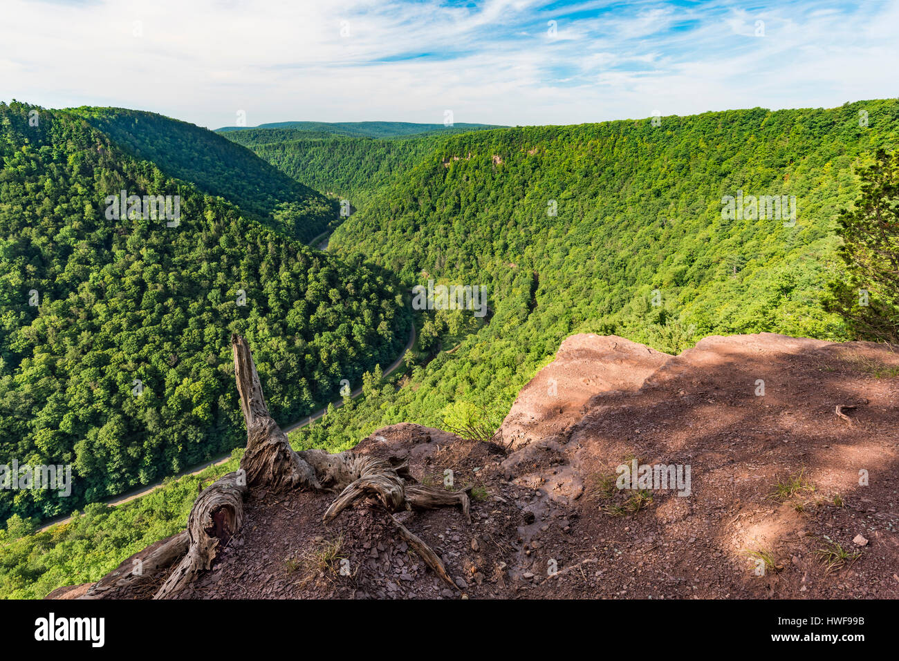 View of Pine Creek Gorge popularly known as Pennsylvania's Grand Canyon from Barbour Rock, Colton Point State Park, Tioga Co., PA Stock Photo
