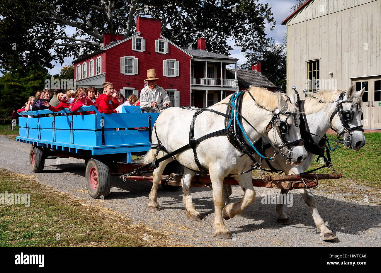Lancaster, Pennsylvania - October 14, 2015:  School children riding in a wagon pulled by two white horses at the Landis Valley Village and Farm Museum Stock Photo